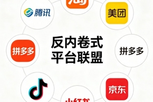 首个平台反内卷联盟成立：向平台内中小微商户减免基础费用